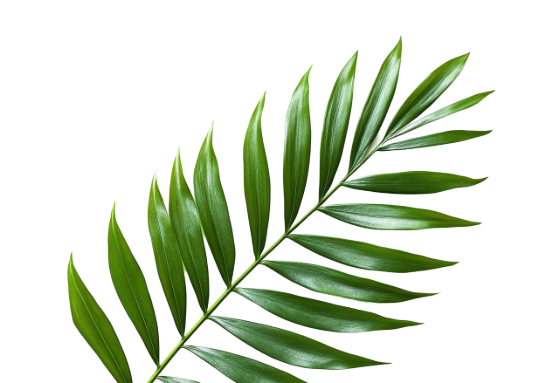Decorative leaf